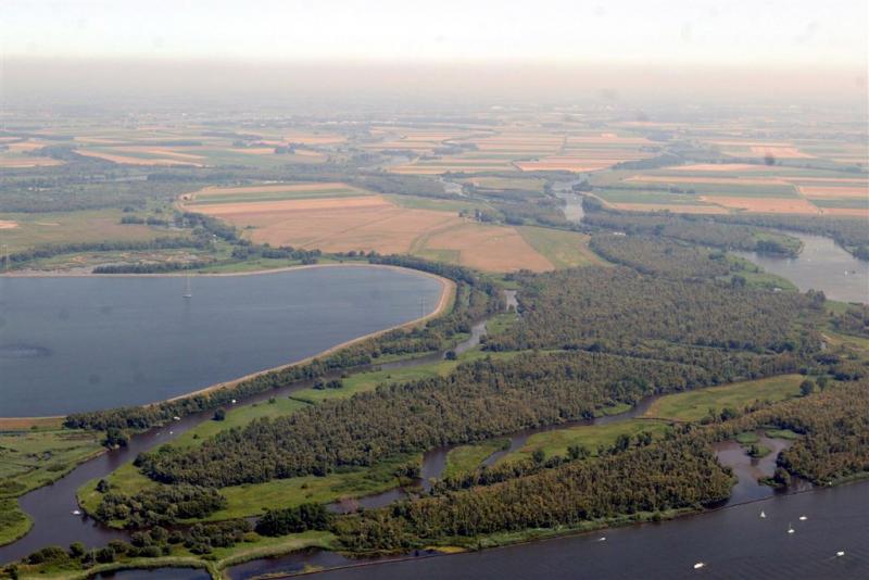 Eerste visarend in Nederland geboren