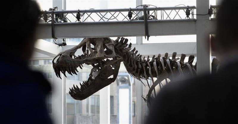 T. rex in Naturalis is Trix gedoopt
