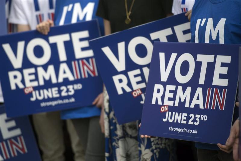 Britse partijen leggen Brexit-campagne stil