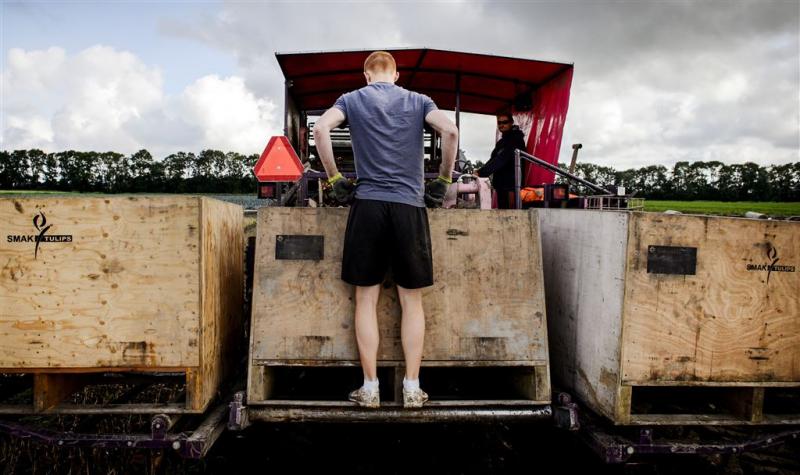 'Jeugd soms dupe van misstanden vakantiewerk'