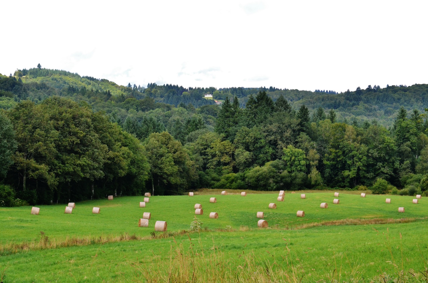 Het Franse platteland, veel meer valt er hier niet te beleven (Foto: WikiCommons)