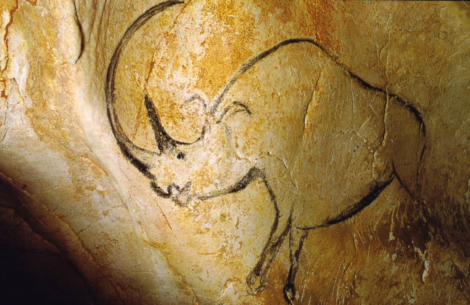 Een neushoorn met een bizar grote hoorn...bestonden die destijds, of konden onze voorouders niet grottekenen? (Foto: WikiCommons)