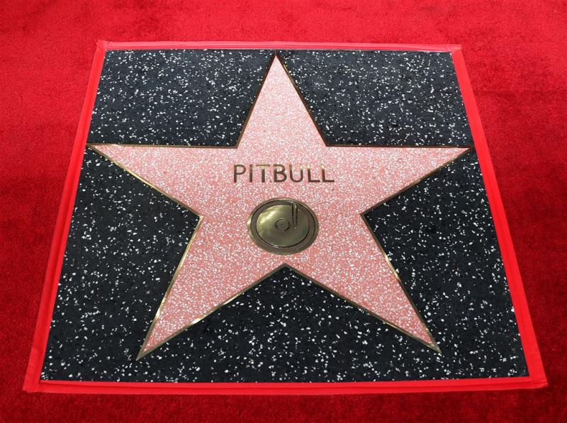 Ster voor Pitbull op Hollywoods Walk of Fame