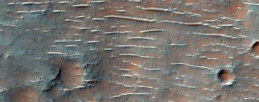 Foto van planeet Mars (Foto: NASA/JPL/University of Arizona)