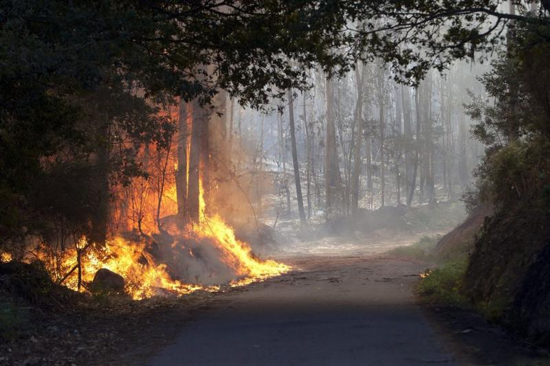 Europese hulp tegen Portugese bosbranden