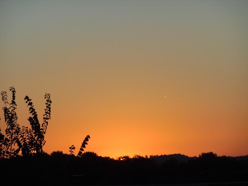 Zonsondergang vanuit Alkmaar (Foto: Papabear)
