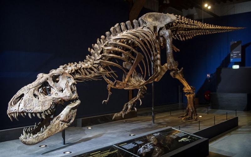 T. rex Trix zorgt voor uitverkocht Naturalis