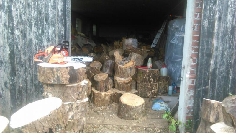 De houtvoorraad van Rewimo en qltel moest nodig worden aangevuld. (Foto: qltel)