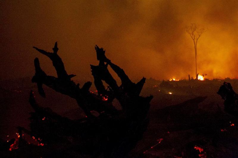 Bosbranden Indonesië kosten 100.000 levens
