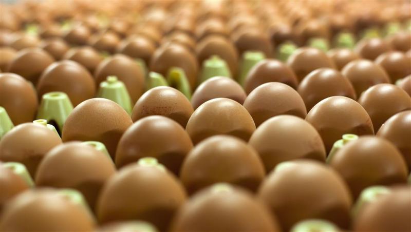 NVWA haalt besmette Poolse eieren terug