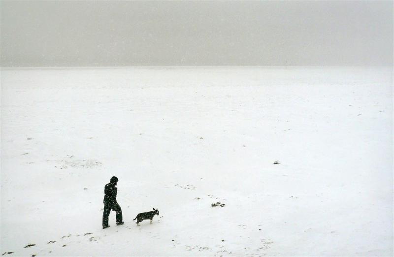 Duizenden sneeuwballen op strand Siberië