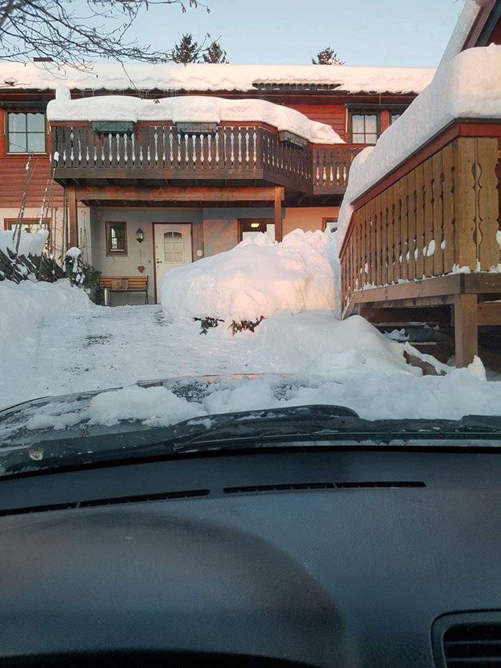 Sneeuw! In Noorwegen dan..  (Foto: Leif Samuelsen)