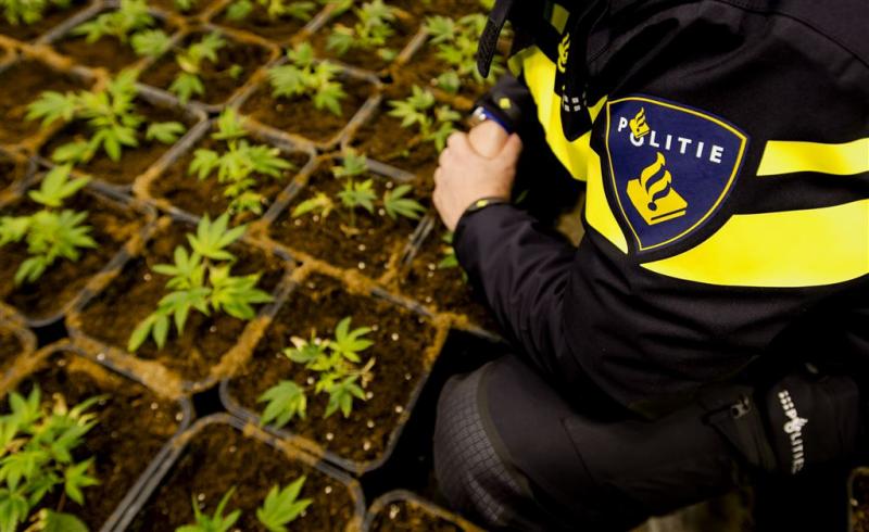 Arrestaties bij actie tegen drugs in Limburg