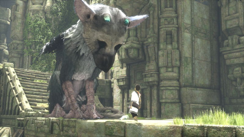 The Last Guardian Trico