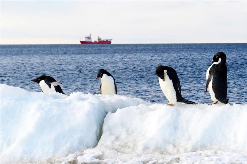 'IJsplaten Oost-Antarctica smelten snel'