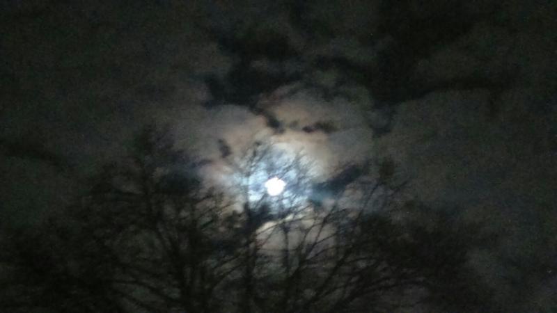 Zie de maan schijnt door de bomen (Foto: DJMO)