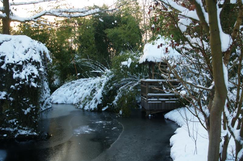 Sneeuw op 25 december 2010 (Foto: qltel)