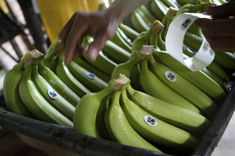 Cocaïne tussen bananen voor voedselbank