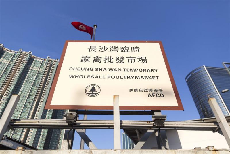 Tweede dode Hong Kong door vogelgriep