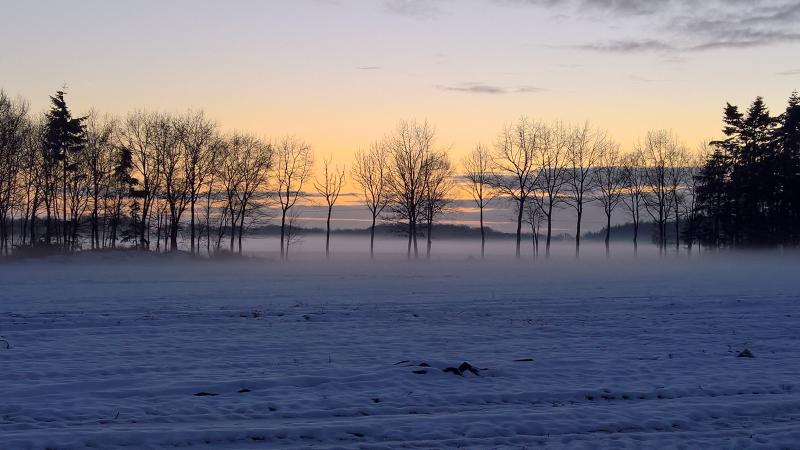 Zonsondergang van zondag 15 januari in de buurt van Tubbergen (Foto: Hummels)