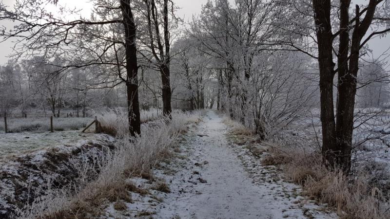 Winterfoto's uit heel Nederland!  (Foto: bondage)