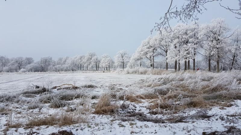 Winterfoto's uit heel Nederland! 