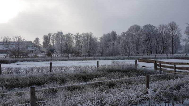 Winterfoto's uit heel Nederland!  (Foto: bondage)