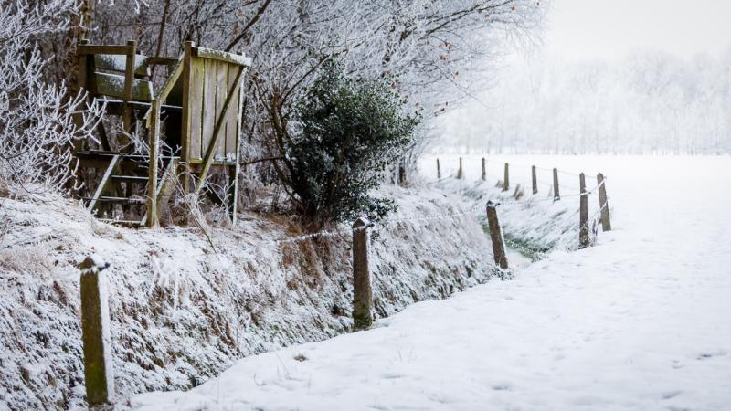 Winterfoto's uit heel Nederland!  (Foto: koelkastje)