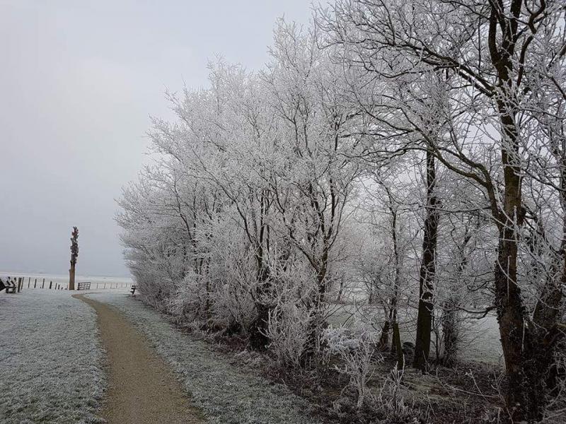 Winterfoto's uit heel Nederland!  (Foto: mamsell)