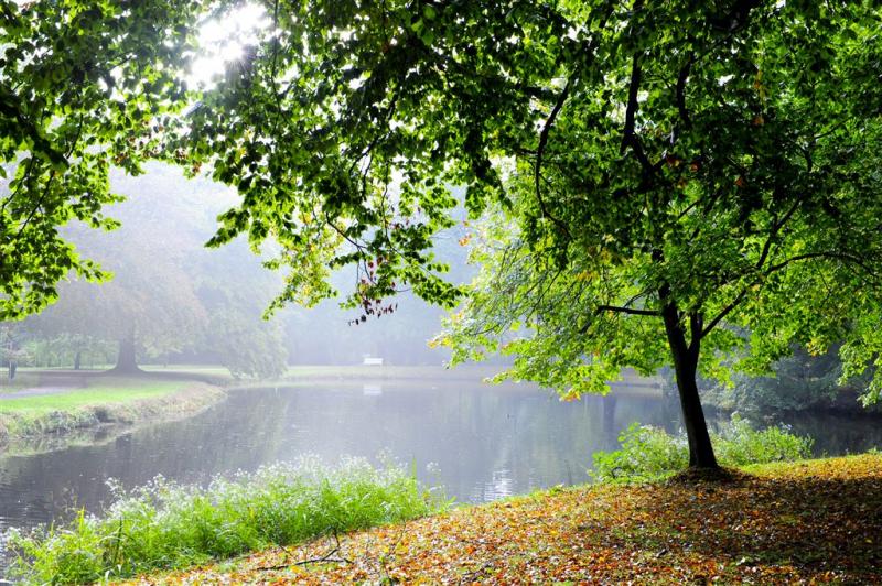 Oproep aan overheid om landschap te redden