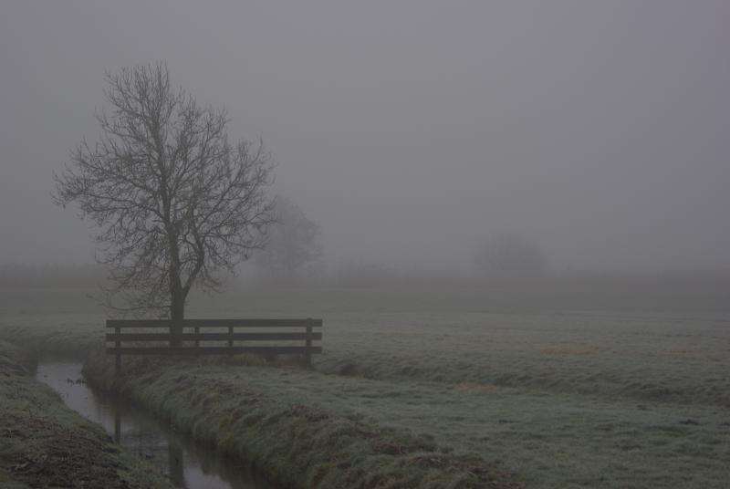 Mist... (Archief-foto Disbatch)