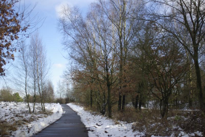 Een foto van een paar weken geleden op de Veluwe (Foto: Disbatch)