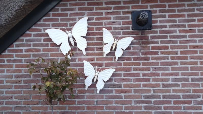 AGM X1 camera vlinders 