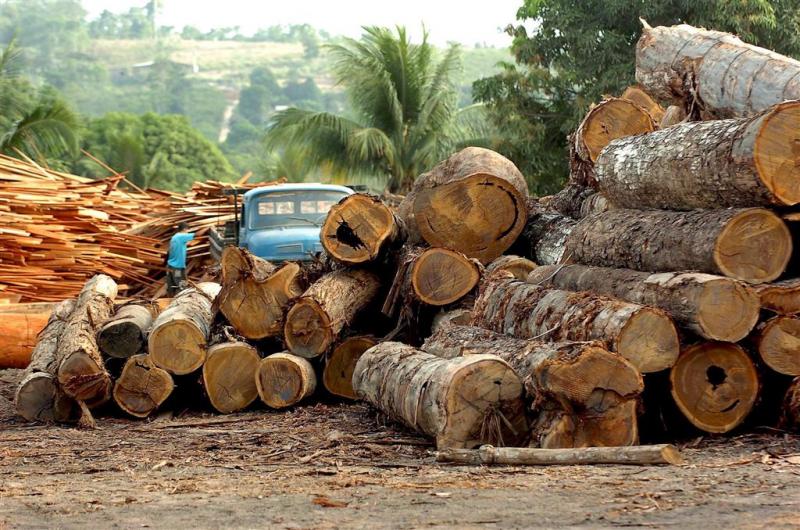 Brazilië stap vooruit tegen illegale houtkap