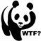 userIcon