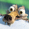userIcon