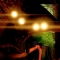 userIcon