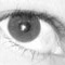 userIcon