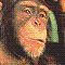 userIcon