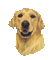userIcon