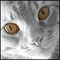 userIcon