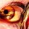 userIcon