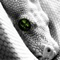 userIcon