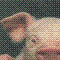 userIcon