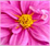 userIcon
