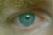 userIcon