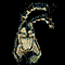 userIcon