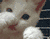 userIcon