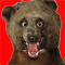 userIcon
