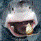 userIcon